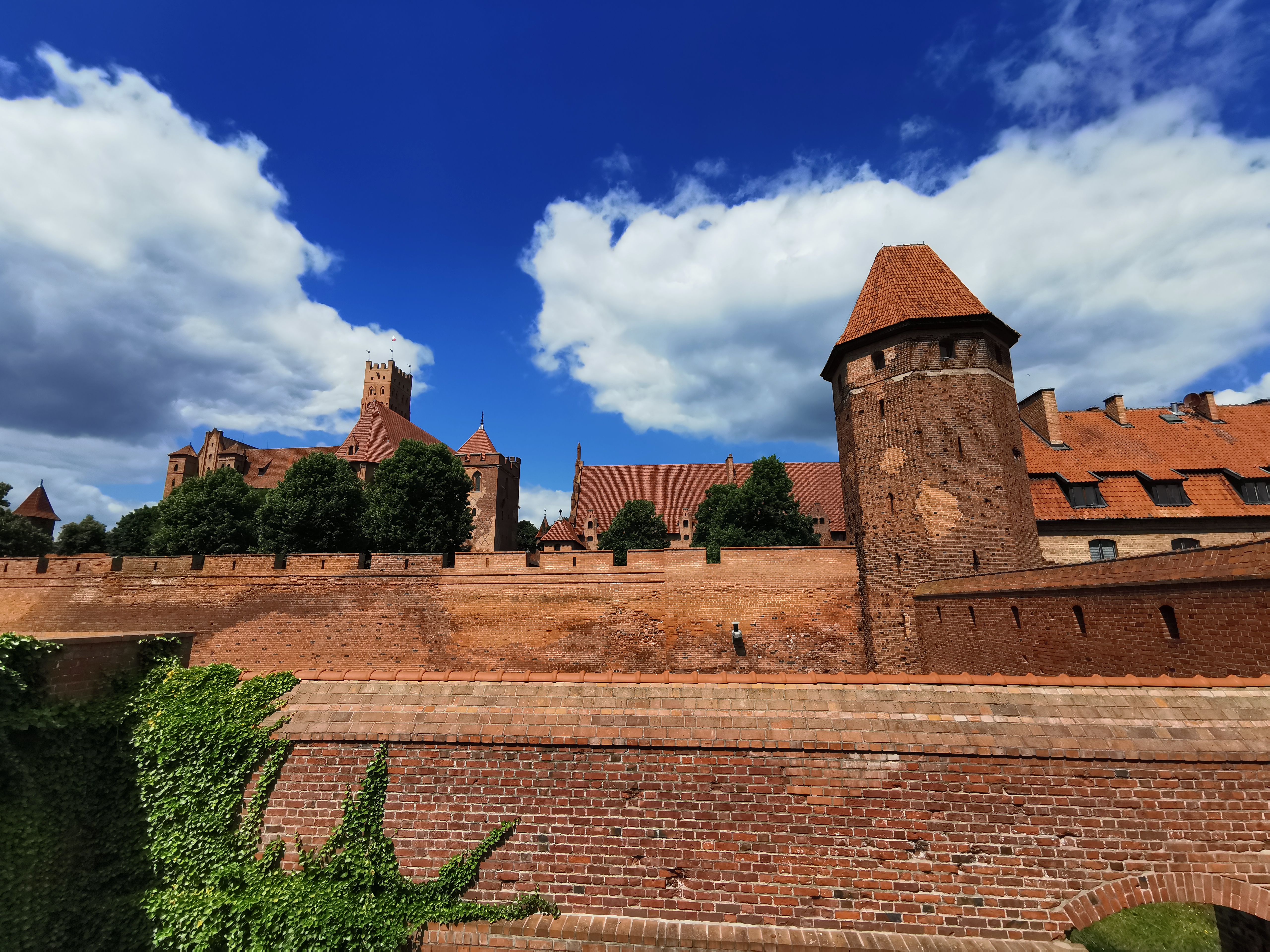 Zamek Malbork