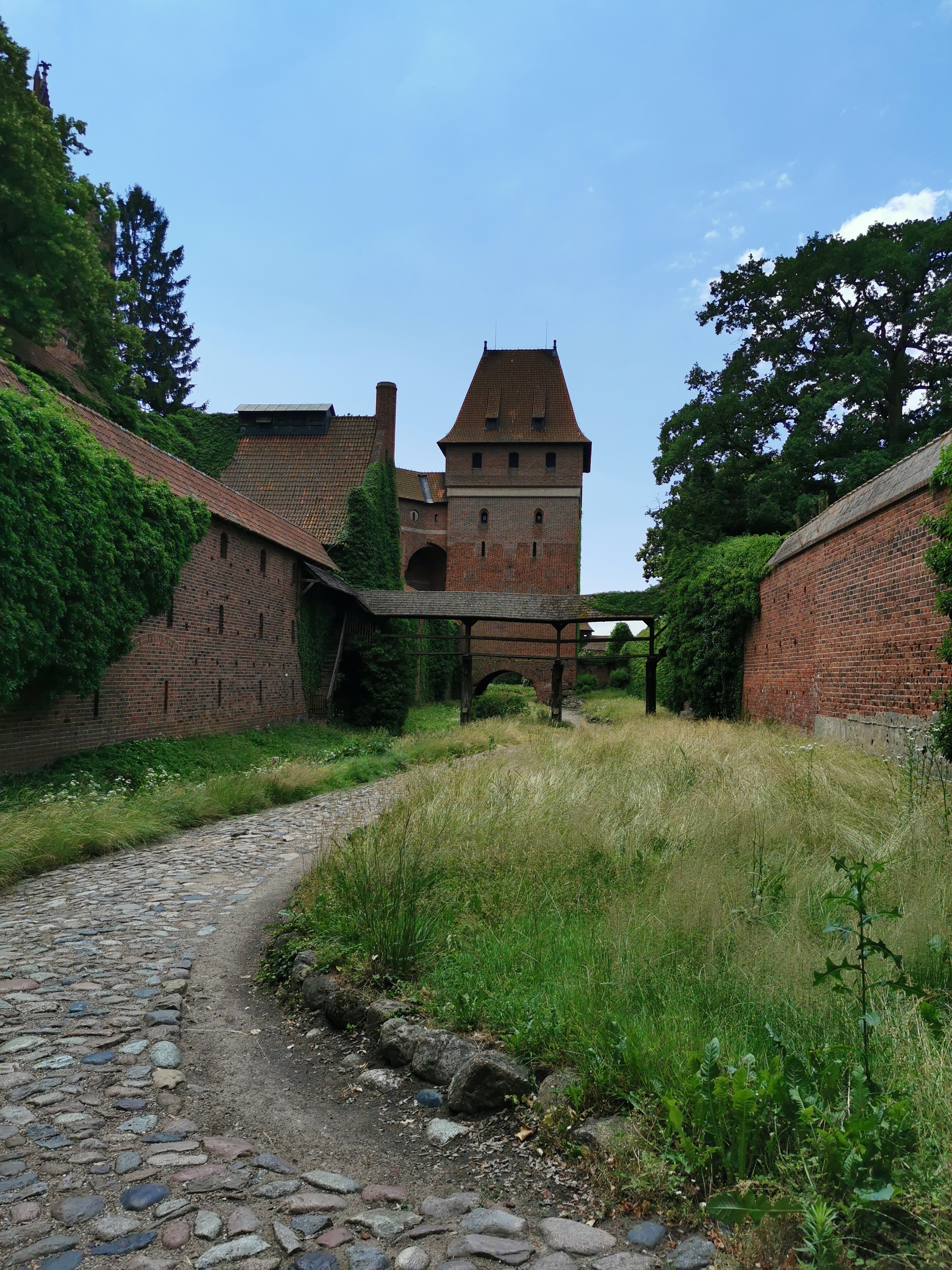 Zamek Malbork